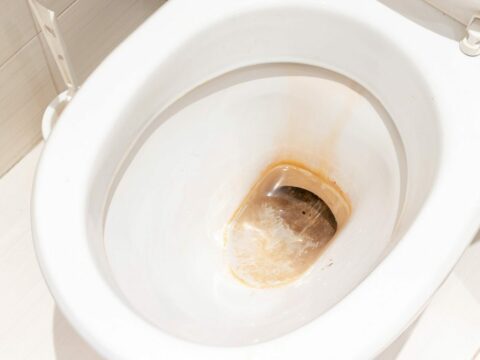 calcaire toilettes