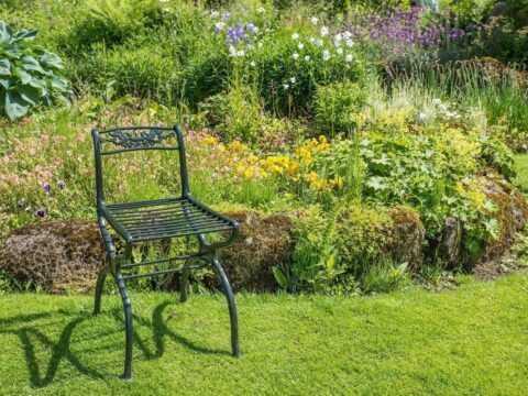 Comment choisir les plantes pour aménager un jardin anglais